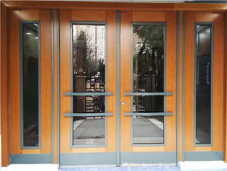 Building Entrance Door -NRB - 16