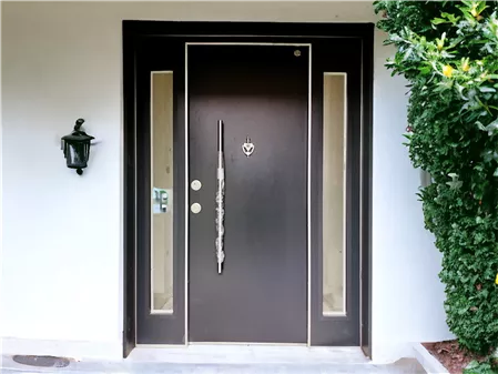 Building Entrance Door