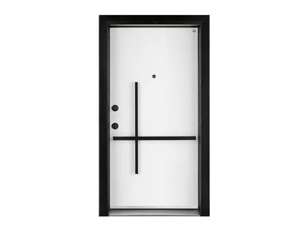 Steel Door